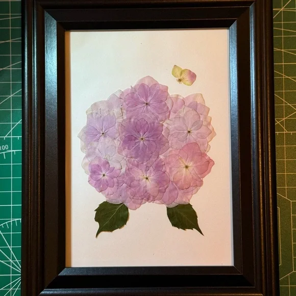 Real pressed flower art - hydrangea